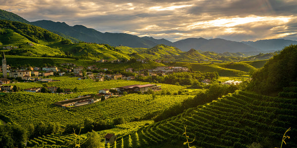 Blick über die Weinberge Italiens, wo Proseccoland seinen Prosecco bezieht.